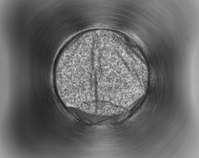 X0000093430896200711091433