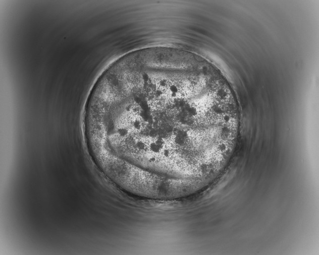 X0000093430899200711091433
