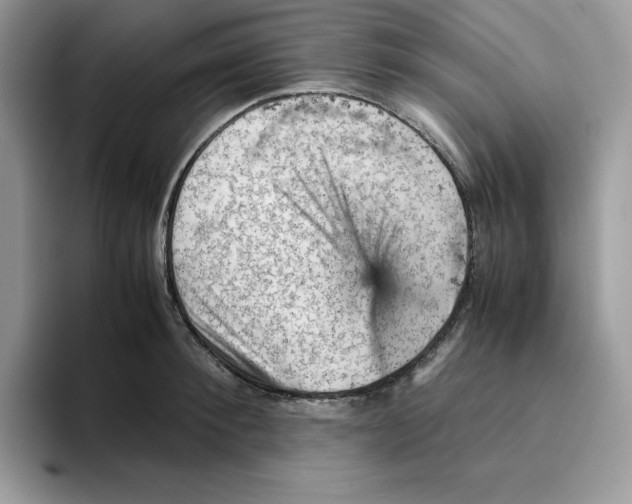 X0000093430900200711091433