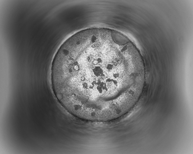 X0000093430903200711091433