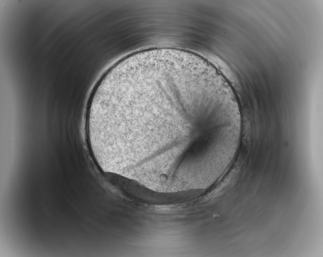 X0000093430904200711091433
