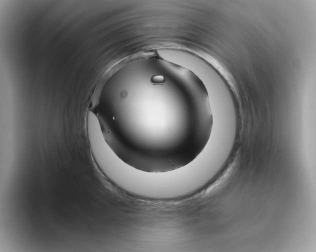 X0000093430905200711091433