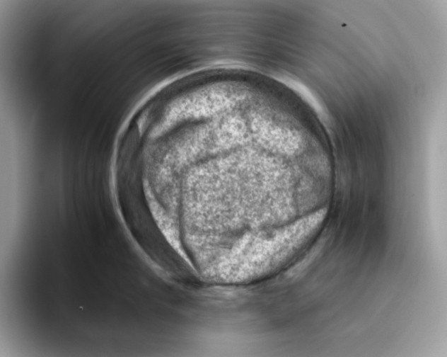 X0000093430910200711091433