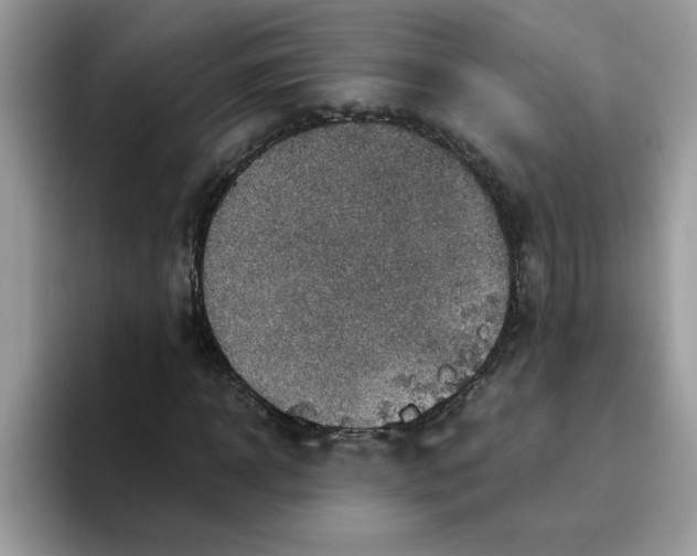 X0000093430918200711091433
