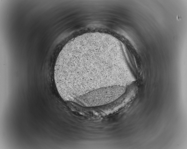 X0000093430919200711091433