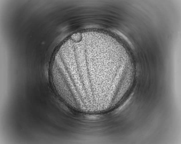 X0000093430921200711091433