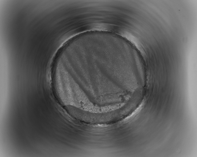 X0000093430923200711091433