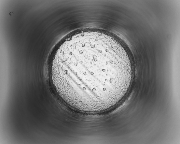 X0000093430925200711091433
