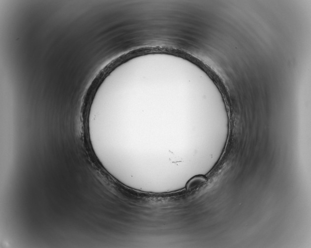 X0000093430927200711091433