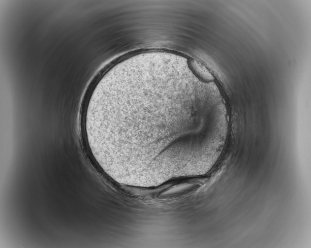 X0000093430932200711091433
