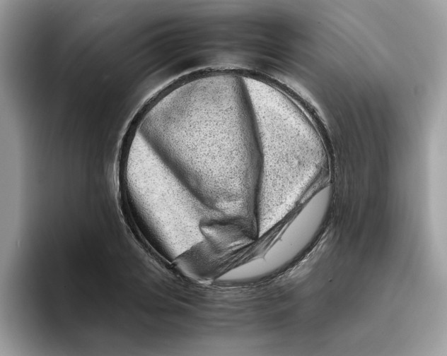 X0000093430935200711091433