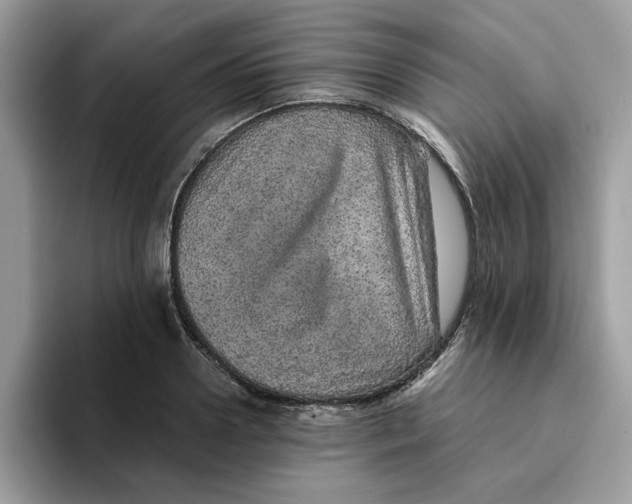 X0000093430938200711091433