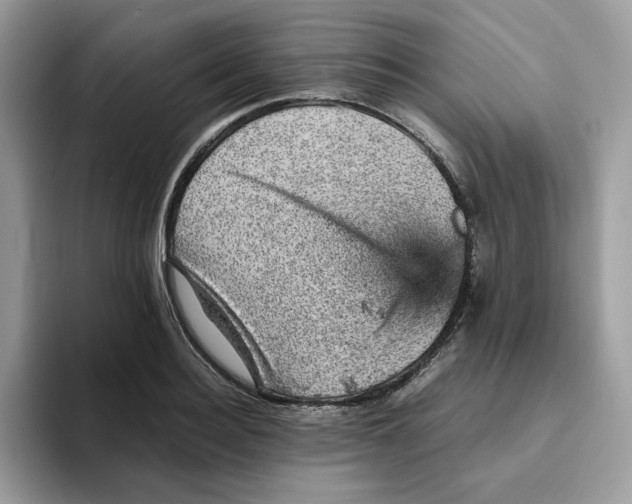 X0000093430940200711091433