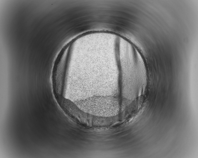 X0000093430943200711091433