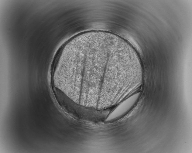 X0000093430944200711091433