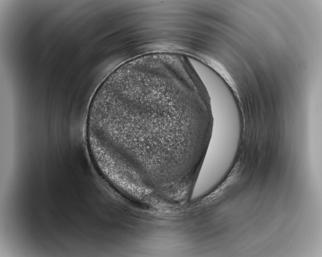 X0000093430946200711091433