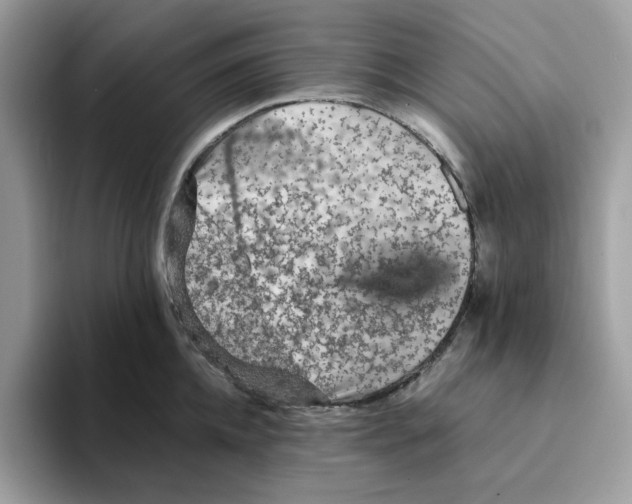 X0000093430952200711091433