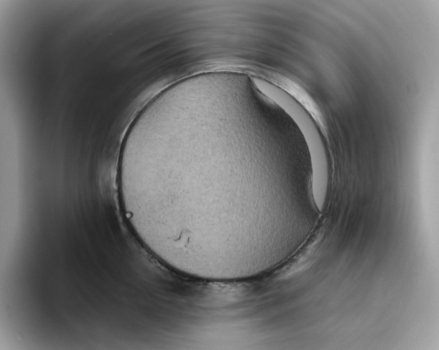 X0000093430954200711091433