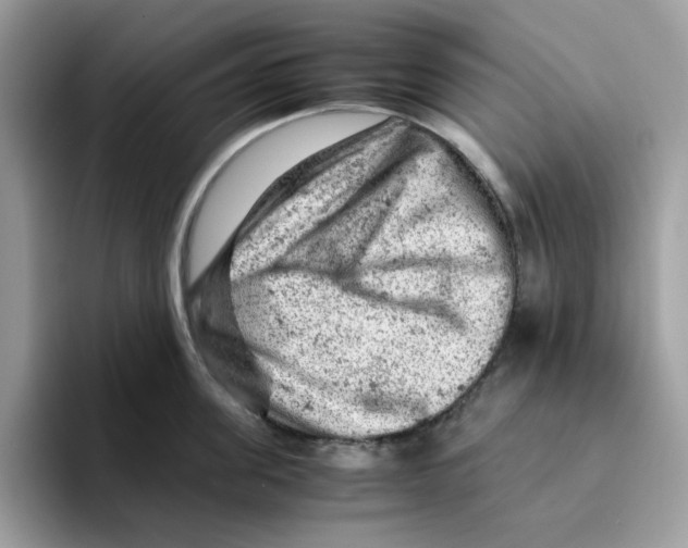 X0000093430955200711091433