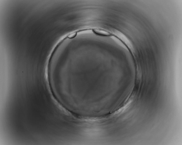 X0000093430958200711091433