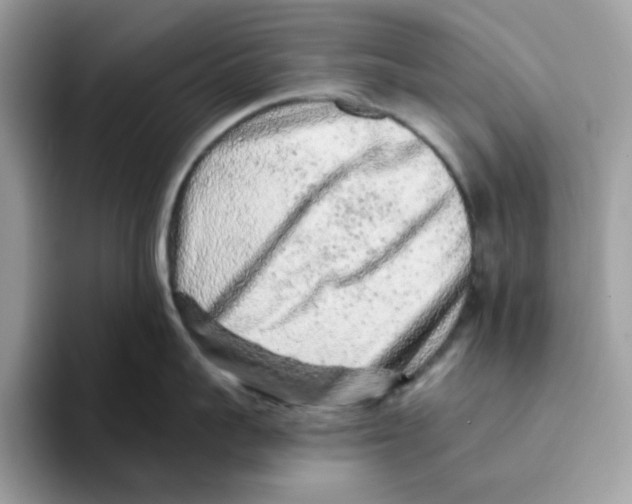 X0000093430959200711091433