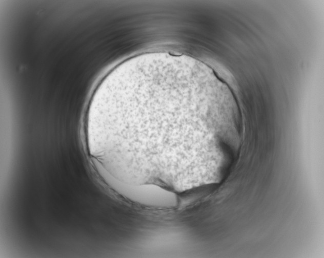 X0000093430960200711091433
