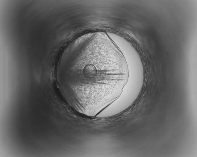 X0000093430965200711091433