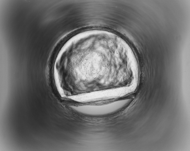 X0000093430975200711091432