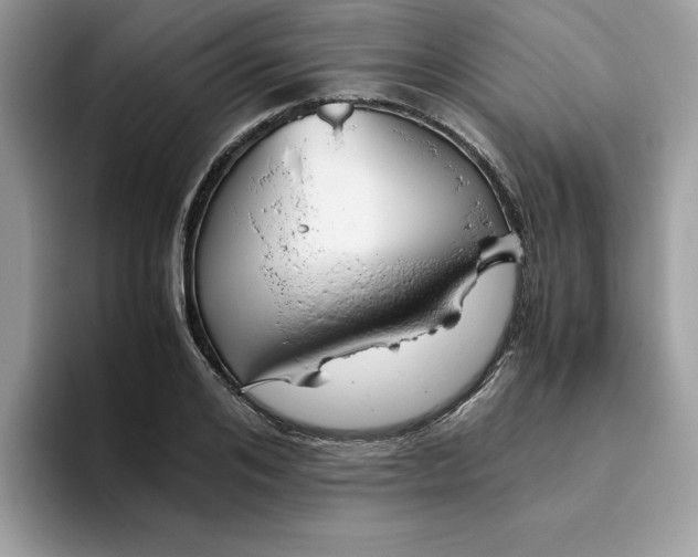 X0000093430984200711091432