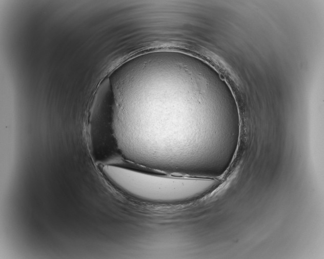 X0000093430985200711091432