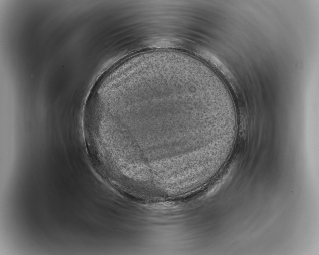 X0000093430986200711091432