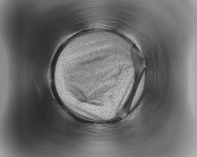 X0000093430987200711091432