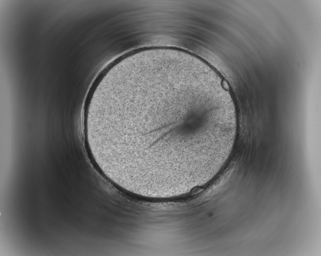 X0000093430988200711091432