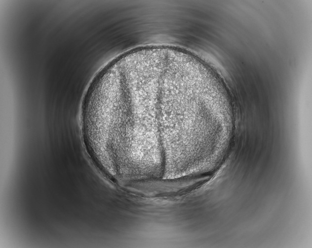 X0000093430990200711091432
