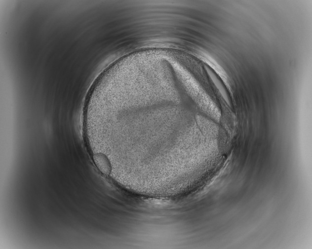 X0000093430994200711091432