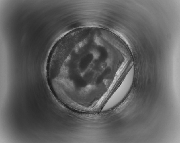 X0000093430995200711091432