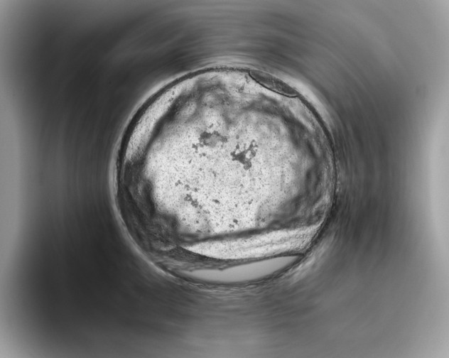 X0000093430999200711091432