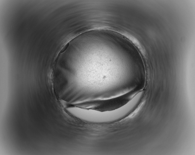 X0000093431001200711091432