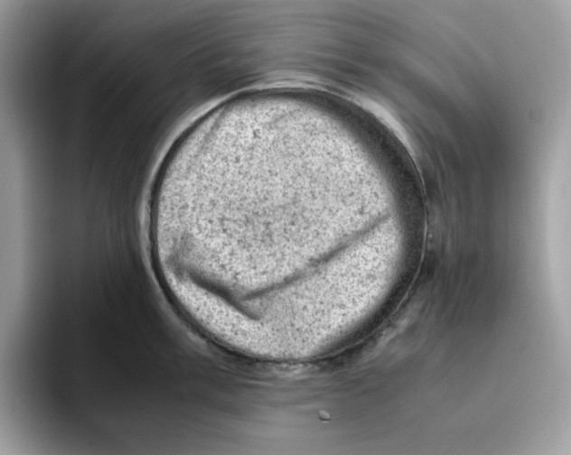 X0000093431003200711091432