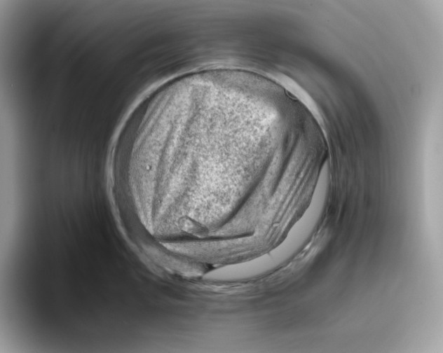 X0000093431005200711091432