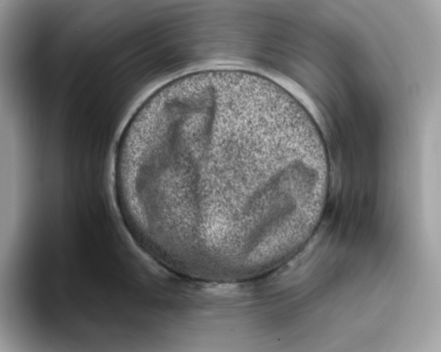 X0000093431006200711091432