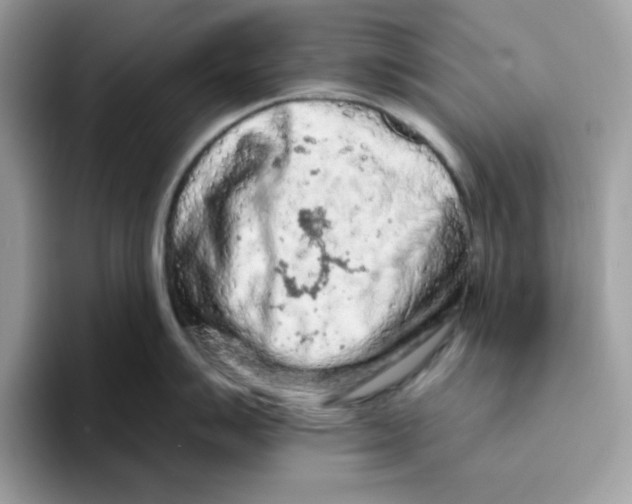 X0000093431007200711091432