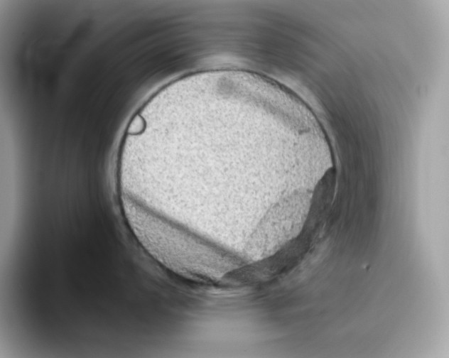 X0000093431008200711091432