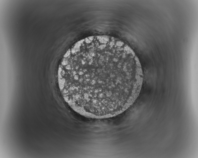 X0000093431009200711091432