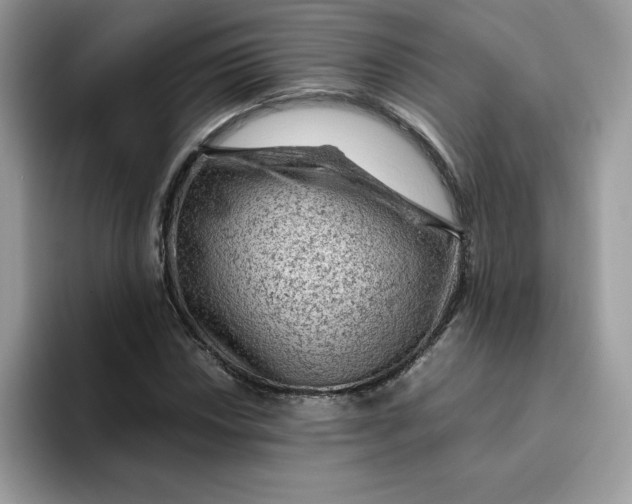 X0000093431018200711091432