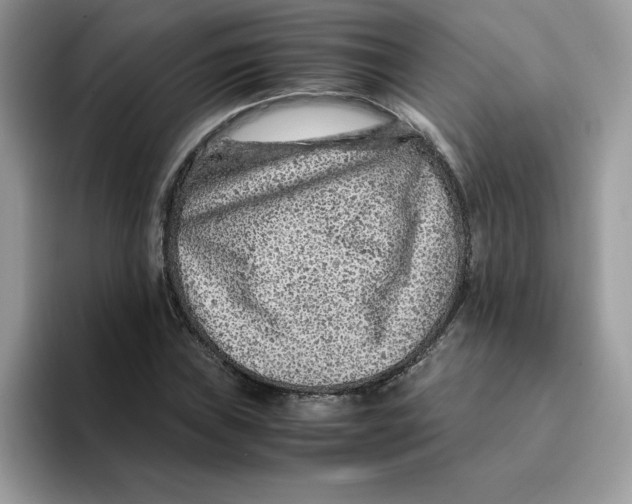 X0000093431019200711091432
