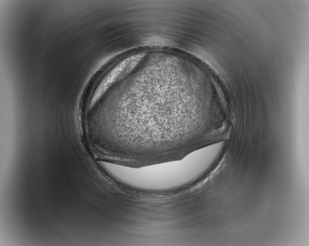 X0000093431022200711091432