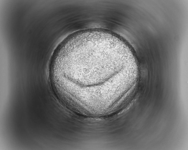 X0000093431023200711091432
