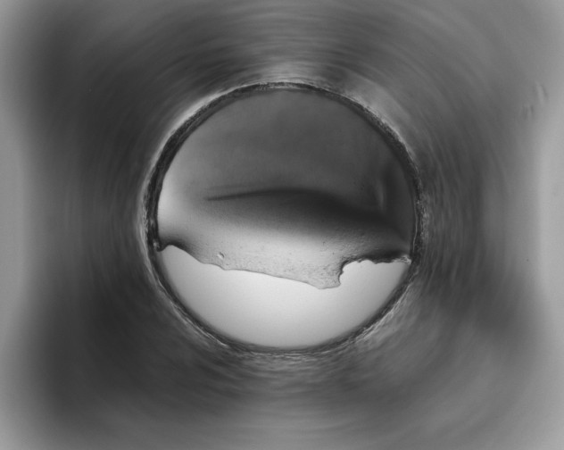 X0000093431024200711091432