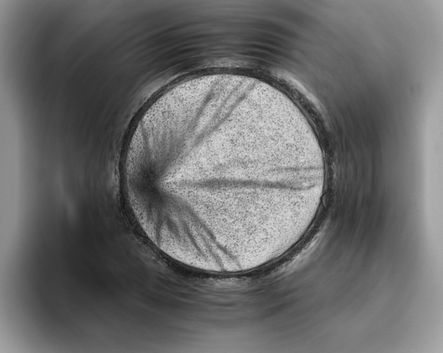 X0000093431025200711091432